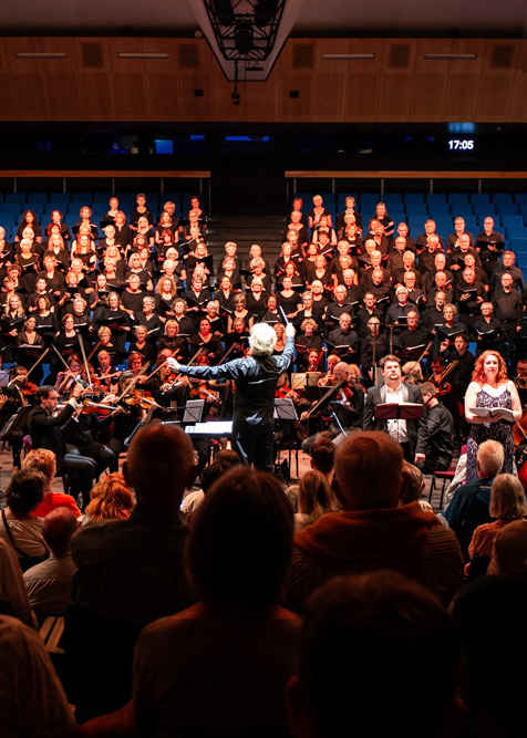 Foto: Melle Meivogel